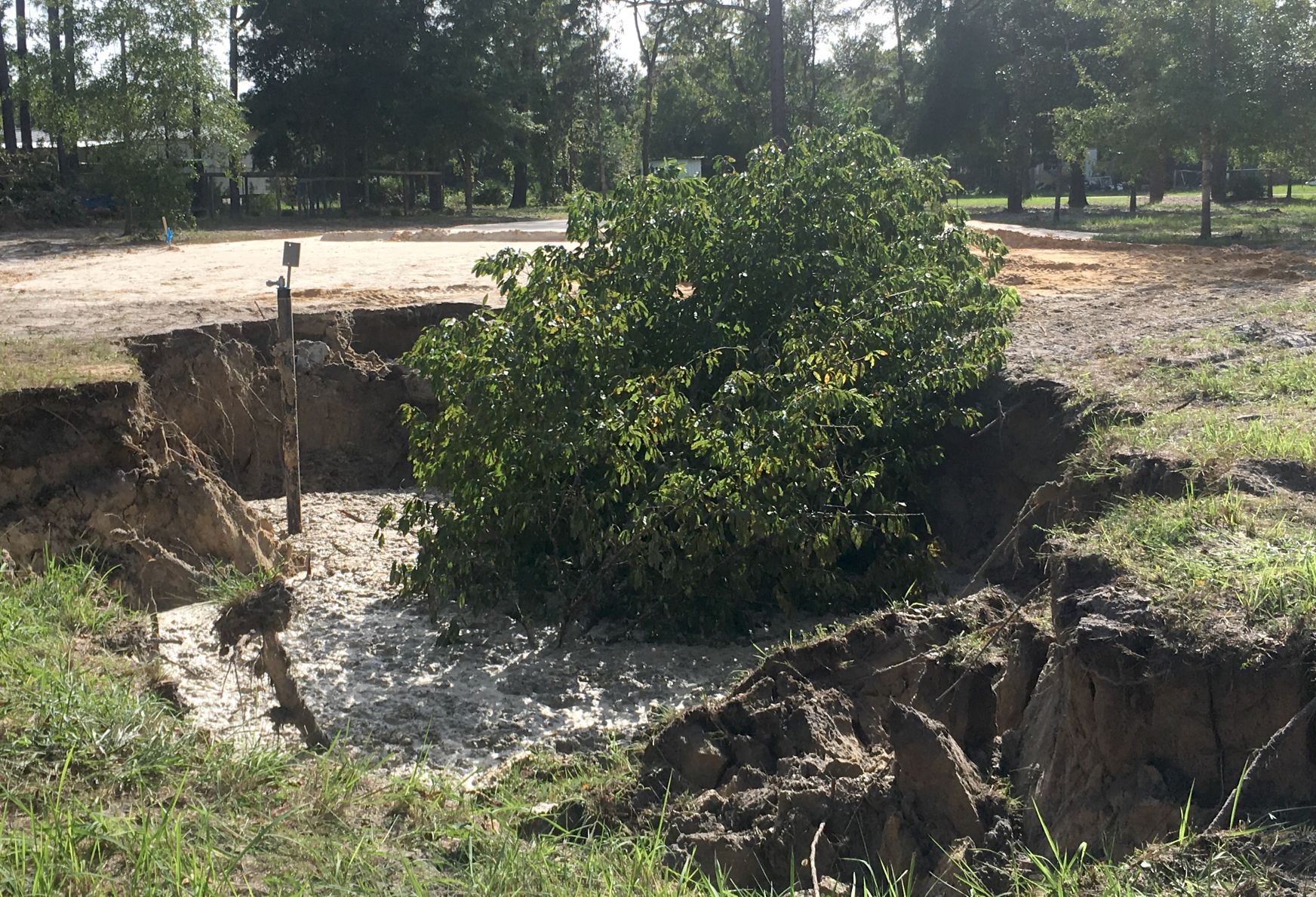 West Lincoln Lane Homosassa Sinkhole